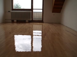 obrázek 1